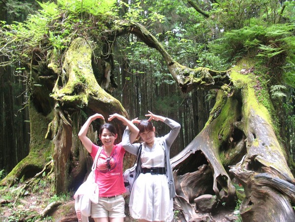 阿里山森林风景区