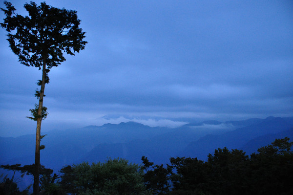 阿里山