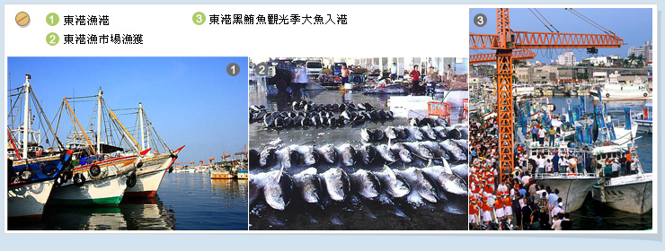 东港鱼市场