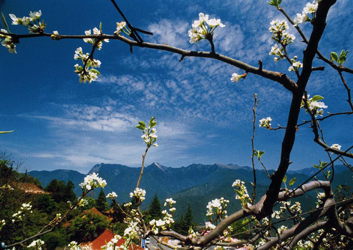 梨山风景区