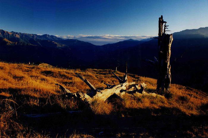 八卦山风景区