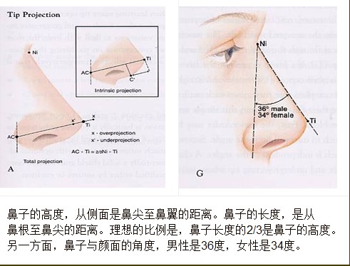 隆鼻手术介绍