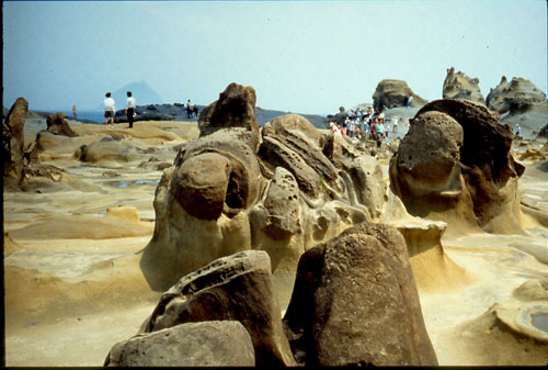 和平岛滨海公园