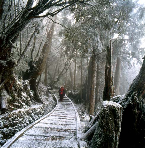 太平山森林游乐区