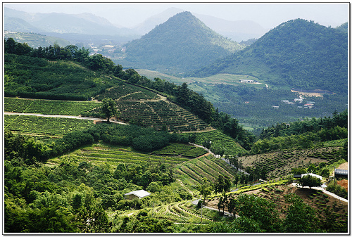 日月潭猫囒山自然步道