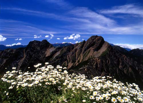 玉山公园山顶