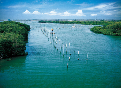 七股湿地,台江公园