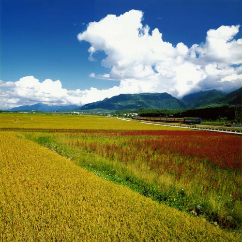 台东大坡池美丽风景