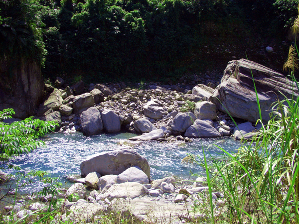 花莲富源森林风景区