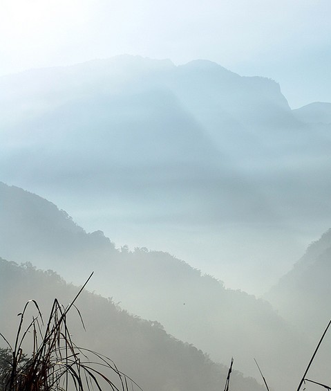 草岭雾蒙蒙