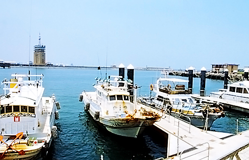 梧栖海鲜_海鲜图片大全_海鲜面(2)