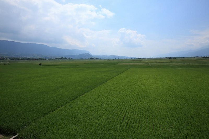 池上环圳自行车道